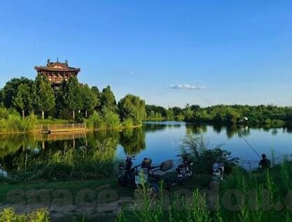 大象传媒短视频下载-探索大象传媒短视频下载的多元化视角